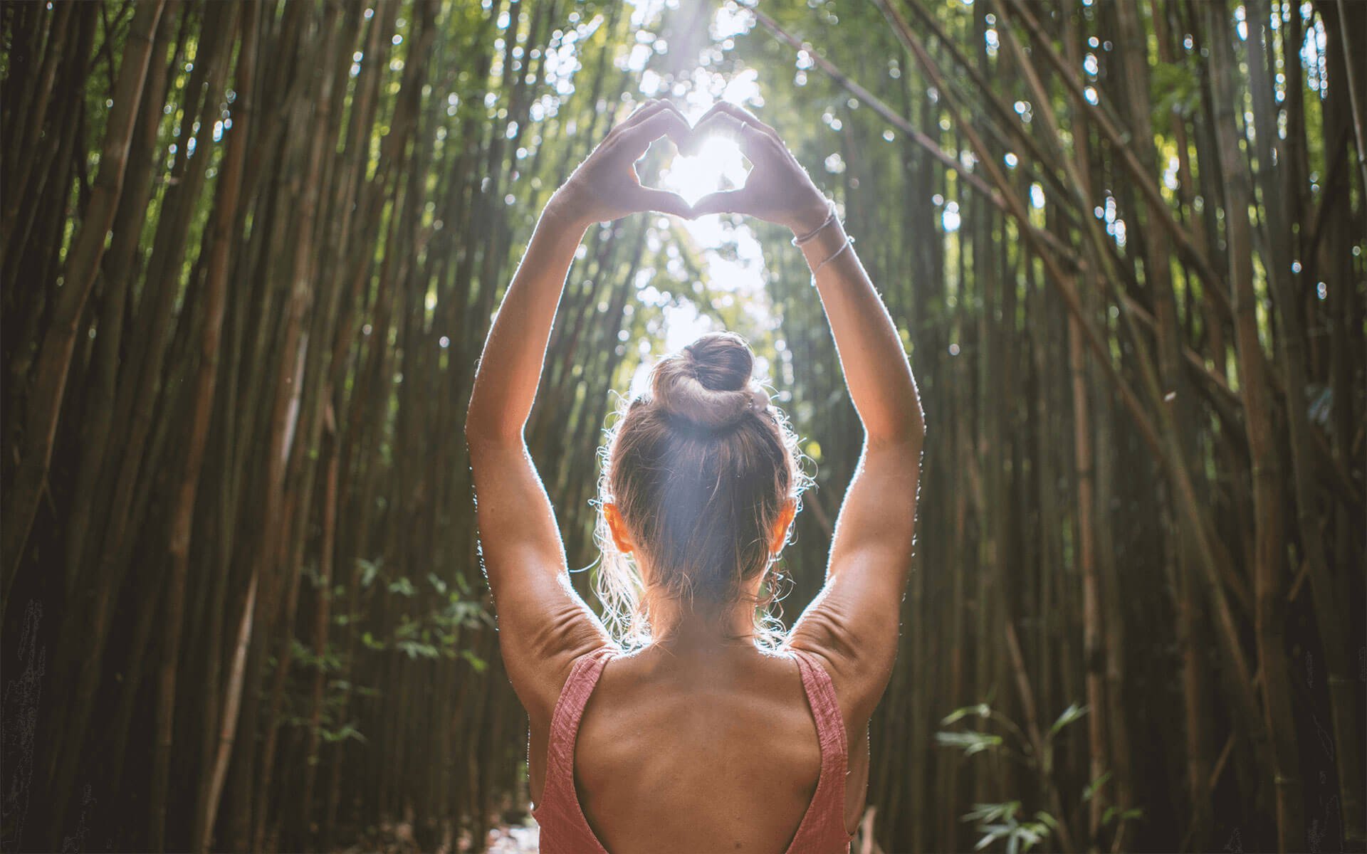 Our Energy Healing Training